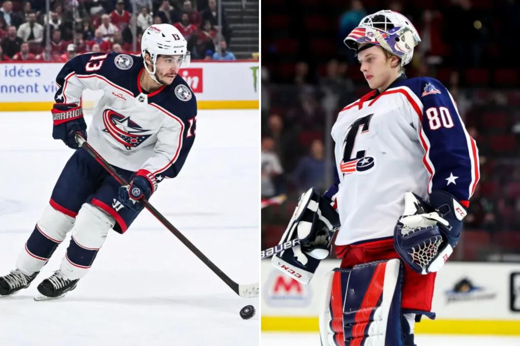 Blue Jackets mourning Johnny Gaudreau’s death two years after goalie’s tragedy trib.al/TEhobmW