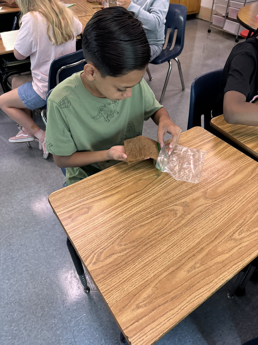 Alex Stewart (@mrsstewart_gbpe) on Twitter photo Learning the steps to prepping seeds for germination in <a href="/KBouchat/">Katie Bouchat</a> ‘s science class today! <a href="/gbparkaacps/">Glen Burnie Park</a> <a href="/AACPS_Science/">AACPS Office of Science</a> Learning the steps to prepping seeds for germination in <a href="/KBouchat/">Katie Bouchat</a> ‘s science class today! <a href="/gbparkaacps/">Glen Burnie Park</a> <a href="/AACPS_Science/">AACPS Office of Science</a>