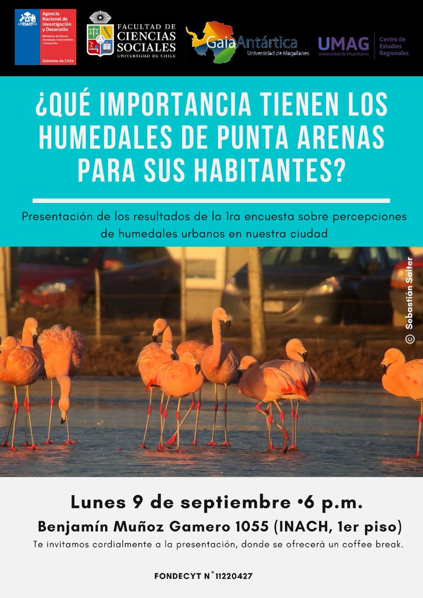 ¿Que Importancia tienen los humedales de #puq para sus habitantes? Resultados de encuesta de percepción de los humedales urbanos, trabajo realizado por <a href="/UmagCiga/">CIGA UMAG</a> y Centro de Estudios Regionales de la <a href="/udemagallanes/">Universidad de Magallanes</a> 📅 09/09/24 ⏲️ 18:00 hrs. en dependencias de <a href="/inach_gob/">INACH</a>