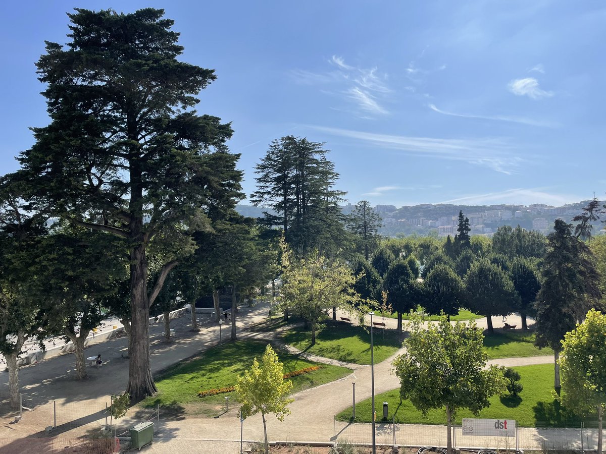 Trees are vital urban infrastructure, which play a key role in reducing urban heat island effects and promoting wellbeing to population.
#StreamScape project