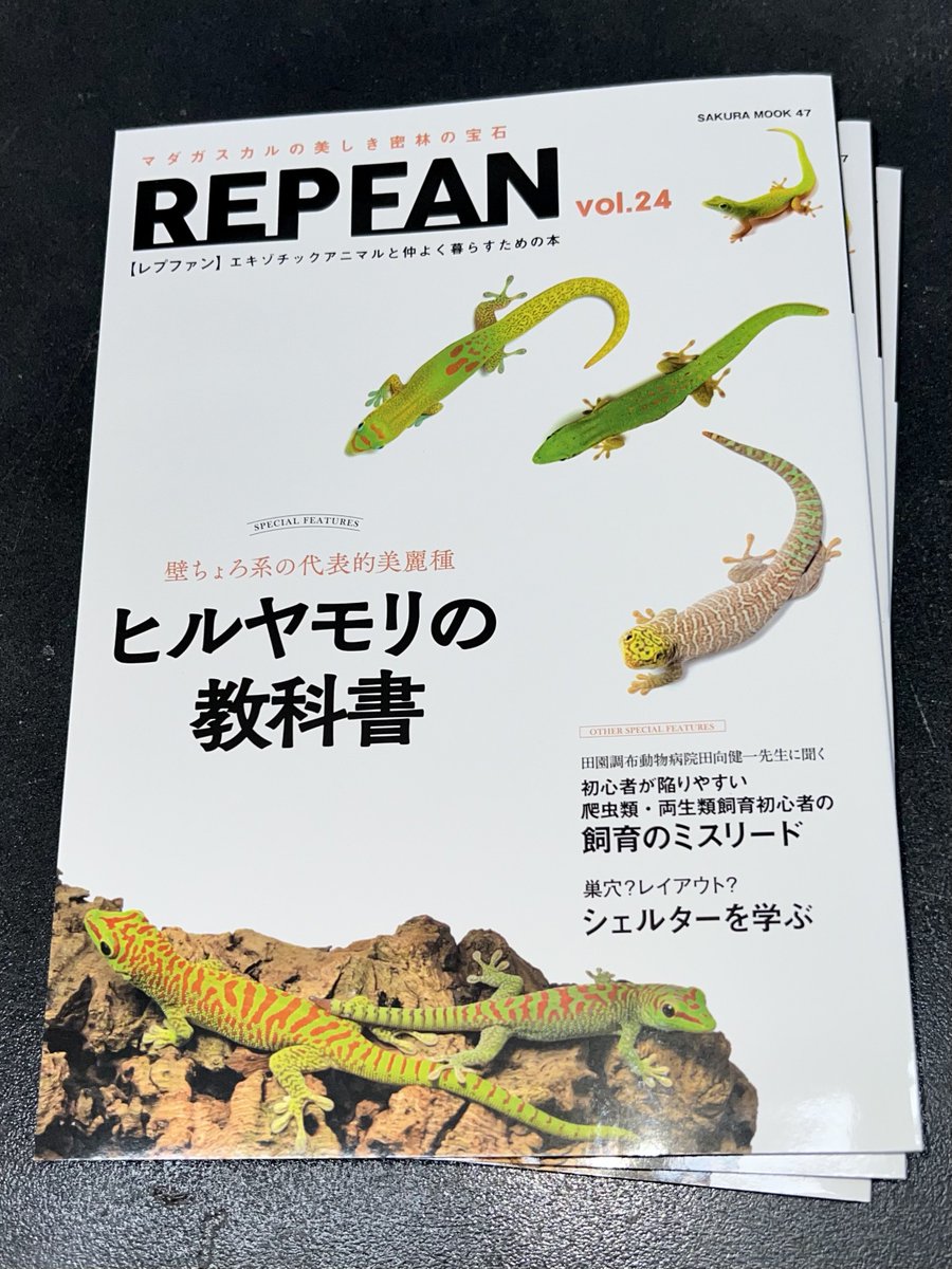 REPFAN最新号入荷しております！
今回の連載はJRS静岡とONEについてです！

#ボールパイソン