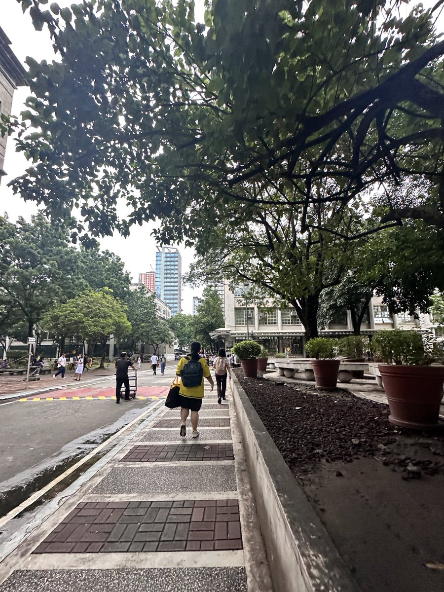 haze tweet media