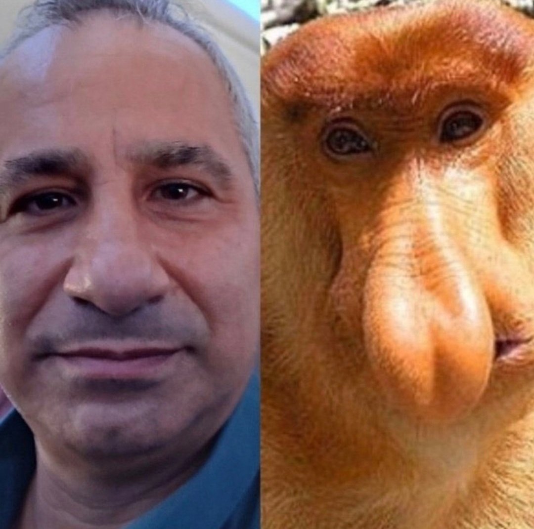 ليونيل ميسي. tweet media