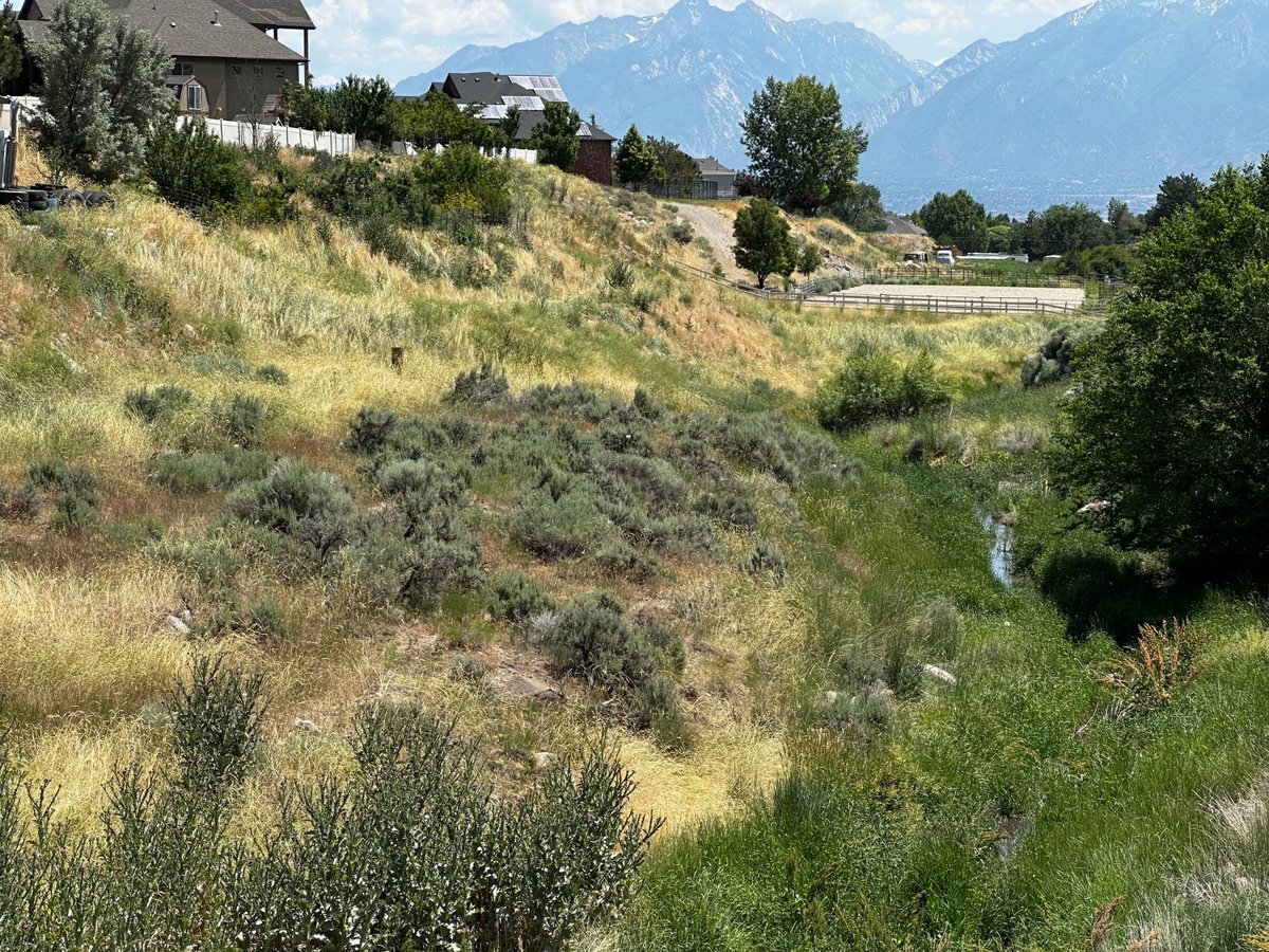 🌍 With rapid growth and urbanization, the time to act is now. H2Oquirrh is creating a comprehensive plan to ensure sustainable water management and community development. 

Learn more and join us in this vital mission at slco.to/H2Oquirrh 💧

#Sustainability  #H2Oquirrh