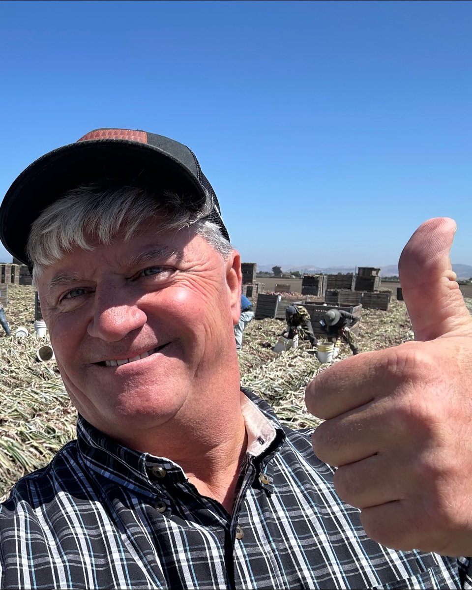 ProFarmGroup's tweet image. Bruce Wheeler, California Key Accounts Manager checked in on the harvest of an Illustria onion demo. One foliar &amp;amp; two fertigation applications produced strong, uniform establishment, onion bulb density &amp;amp; rooting improvements, &amp;amp; decreased abiotic stress.
#FromTheFieldFriday