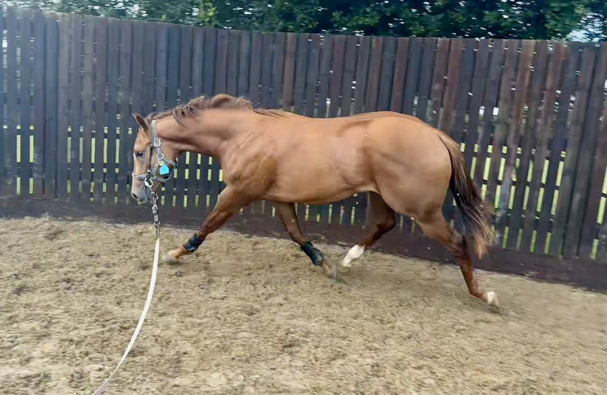 Tracy Vigors tweet media