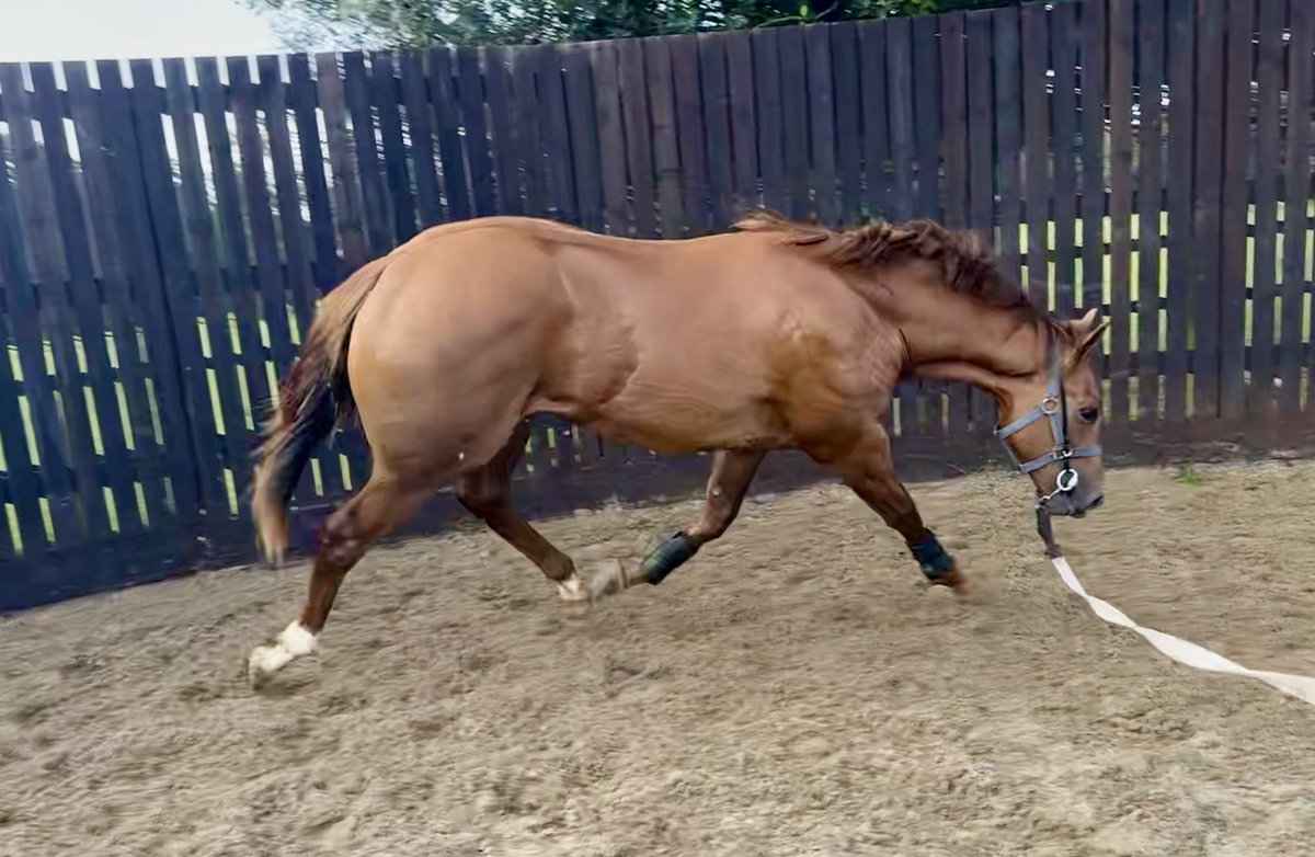 Tracy Vigors tweet media