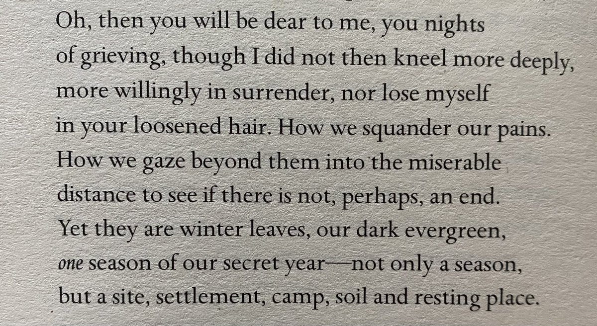 Megan Stobbe tweet media