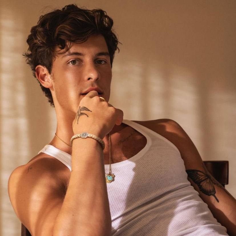 🚨Shawn Mendes já tem data para voltar ao Brasil. Além de se apresentar no Rock in Rio no próximo mês, ele volta para os fãs paulistas no Lollapalooza. Quem vai?