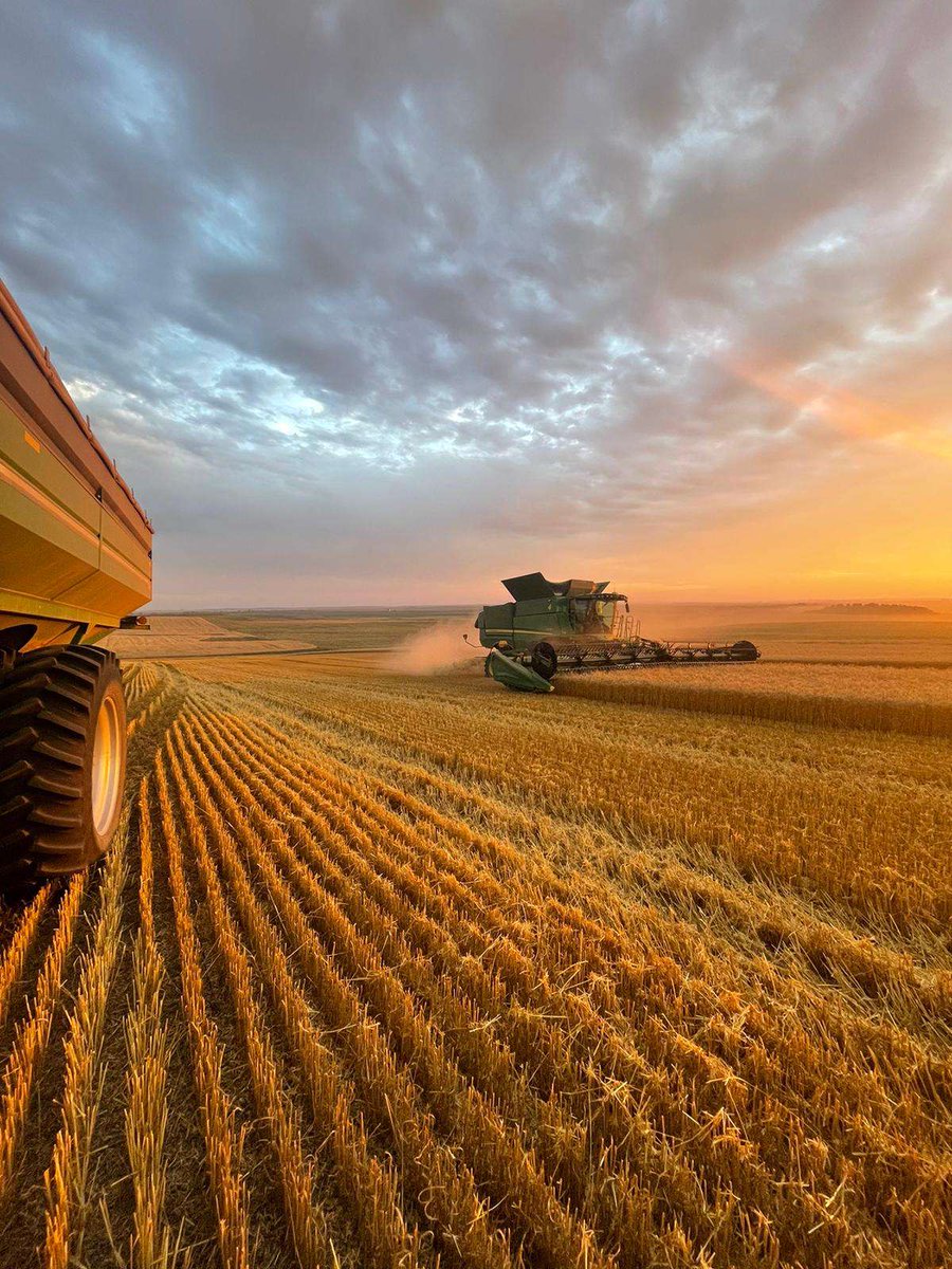 Sow What Project

The ‘Sow what?’ the project brings together a multi-actor team that aims to develop communication tools that will improve farmers’, agricultural advisors' and policy makers' understanding of each other's needs and dilemmas in relation to The European Green Deal