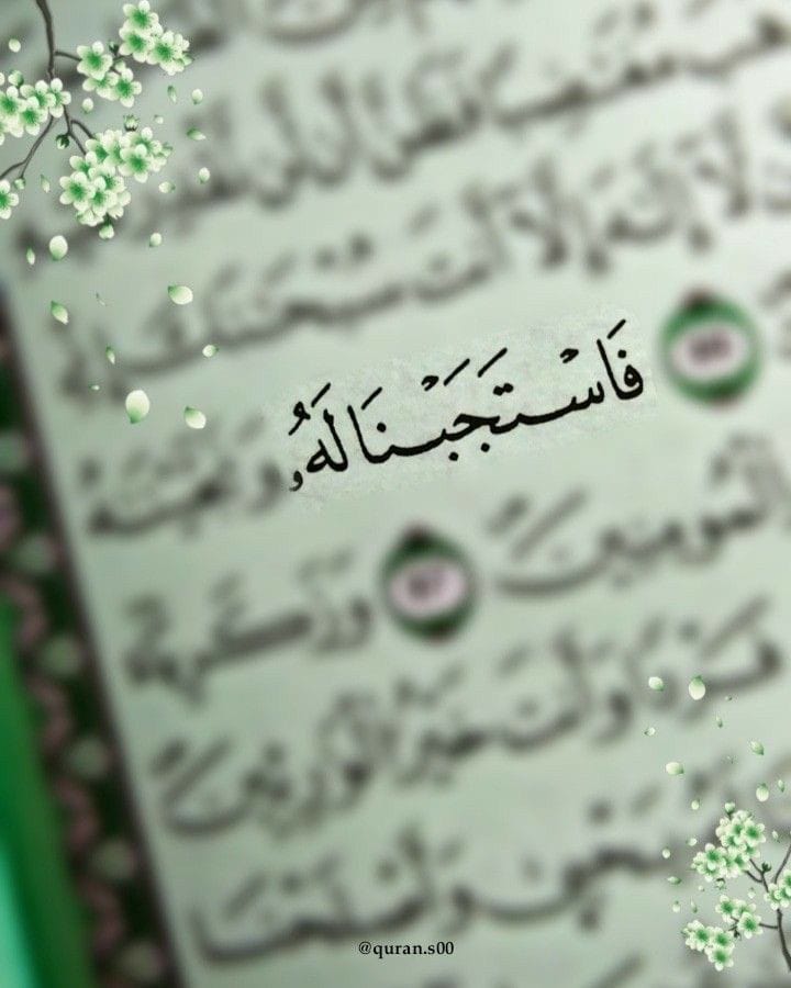 Alqrran_'s tweet photo. لا تمر عليك هذه الصورة الا وضعت شيئاً تؤجر عليه ❤️❤️❤️❤️❤️❤️❤️. https://t.co/JQDGhWeVAH