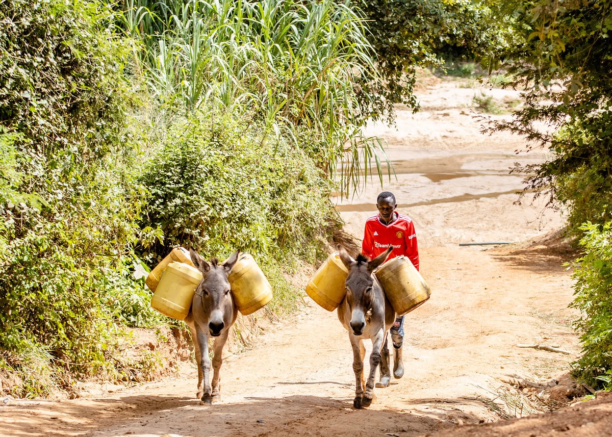 GivePowerFdn's tweet image. Ready to #JoinTheCharge? Let’s create a brighter, more sustainable future for all: givepower.org/become-a-proje… 🌍❤️

#GivePartner #GivePower #CommunityImpact #CSR #CleanEnergy