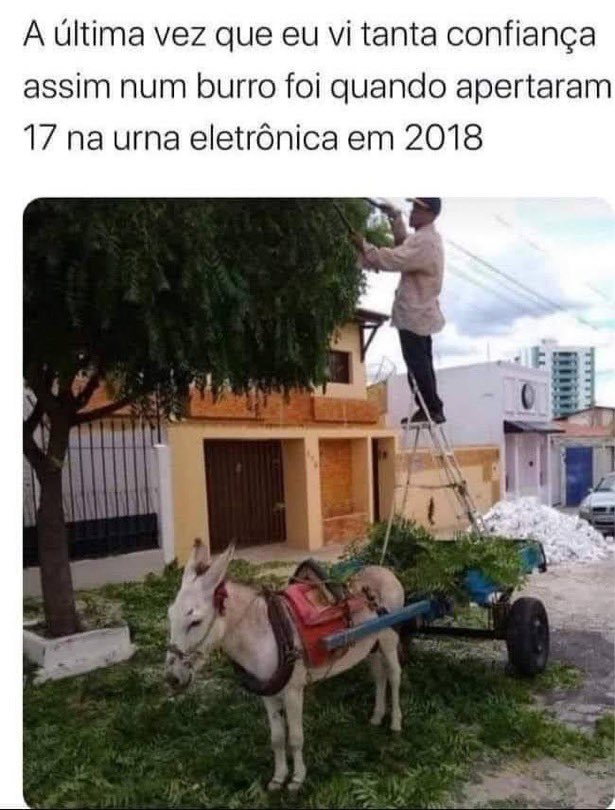 _OGbr's tweet photo. @wsgutnik @lazarorosa25 https://t.co/6AOcw1RDHe