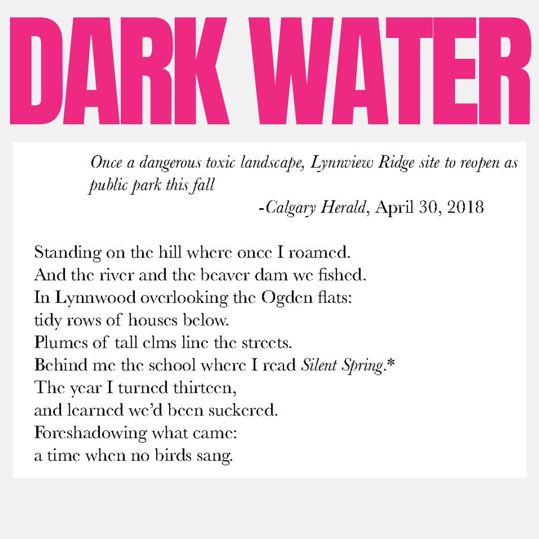 albertamags's tweet photo. Bruce Hunters', "Dark Water" is environmental poetry on Calgary's largest disaster. Published in @FreeFallMag, read this 2024 Alberta Magazine Awards Poetry finalist today!
https://t.co/CV8Z9Tsh26 #AlbertaMagazines #AlbertaMagazineAwards #ABMags24 #Poetry https://t.co/TOmku11nPO