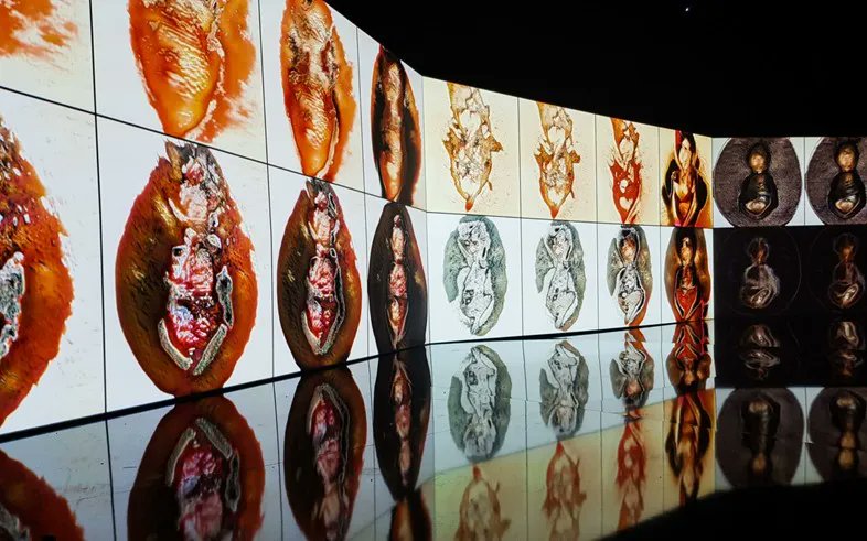 PikMeOfficial's tweet photo. "These 3 AI Artworks Will Blow Your Mind—See How Machines Are Redefining Creativity! 🤖🎨" #AIArt #DeepDream #MachineVision #DigitalArt #ArtAndTechnology #InfluentialArtworks https://t.co/90lL3EB5RQ