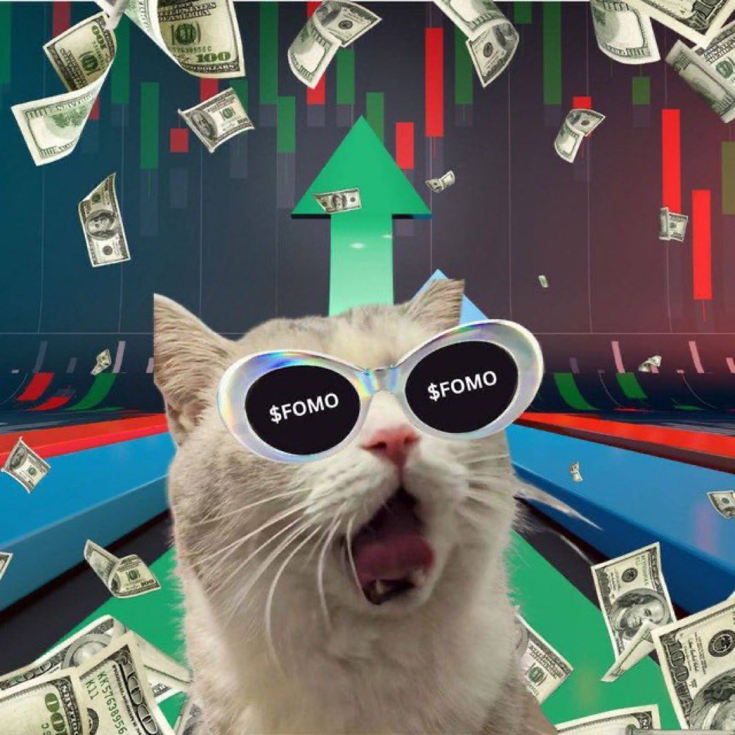 Average Joe tweet media