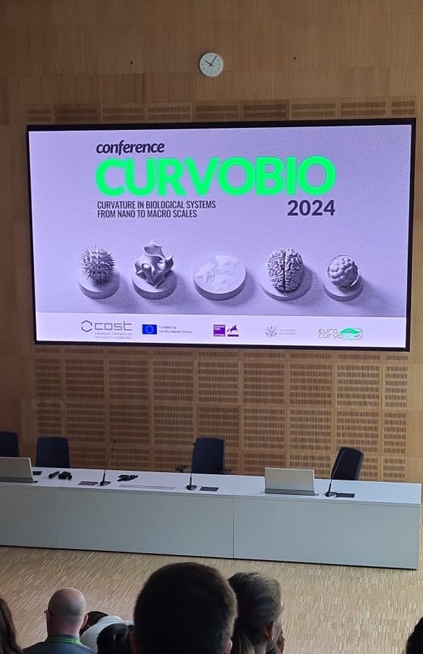 sebacallens's tweet image. Heading back home after some inspiring days at #CurvoBio2024 in stunningly beautiful Warsaw. Amazing talks, lovely people, and lots of new ideas! 💡Very grateful to the organisers for the invitation, and looking forward to the next edition! 👏🔬🦠🧫