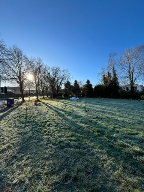 Tomorrow CTT needs all hands on deck to empty our leaf bays &amp; mulch trees and the pollinator bed on Church Green. Exciting to see this valuable nutrient-rich compost being used to replenish the soil in Castleknock. Meet us at Myo's car park at 10 am wearing SPF50 and a hat.