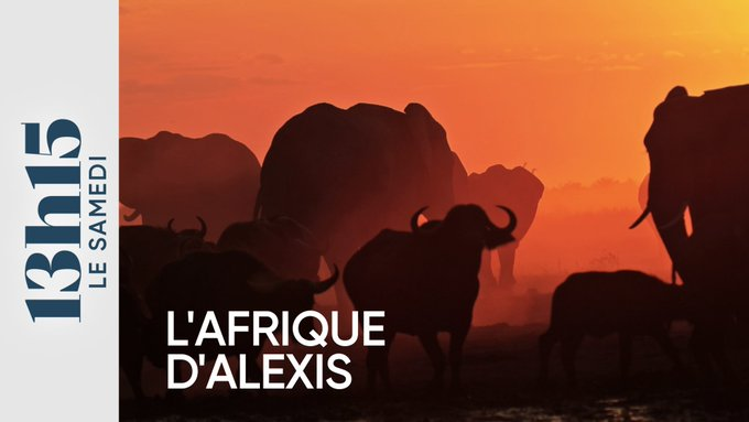 MediasFrance's tweet image. Dans "#13H15 le samedi" avec @LaurentDelahous 

Depuis l'enfance, Alexis Fourneau, reve de l'Afrique. À 22 ans, il quitte tout pour devenir guide au Botswana