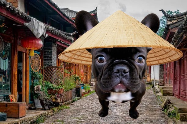 2LEGSonSol's tweet image. $2LEGS is everyone's character. One world, two legs.