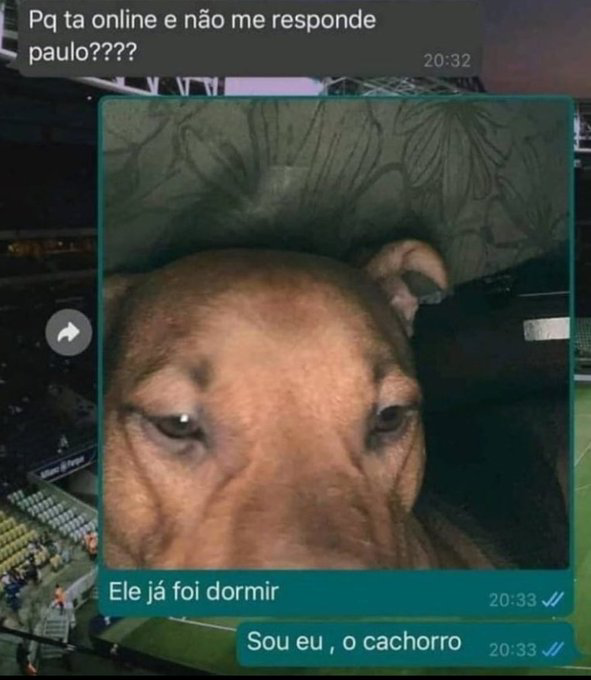 bjs_alejo2's tweet image. 