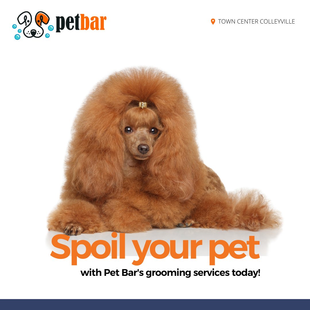 TColleyville's tweet image. Discover the art of pet grooming at Pet Bar! 🐾

Whether it's a stylish haircut, nail trimming, or a soothing bath, their grooming experts ensure your pet receives top-notch care. Spoil your pet with Pet Bar's grooming services today!

#shopcolleyville #stores #petbar