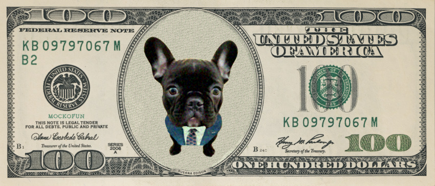 2LEGSonSol's tweet image. Soon the dollar will crash and we will have a new currency standard. Two legs, one world.

$2LEGS