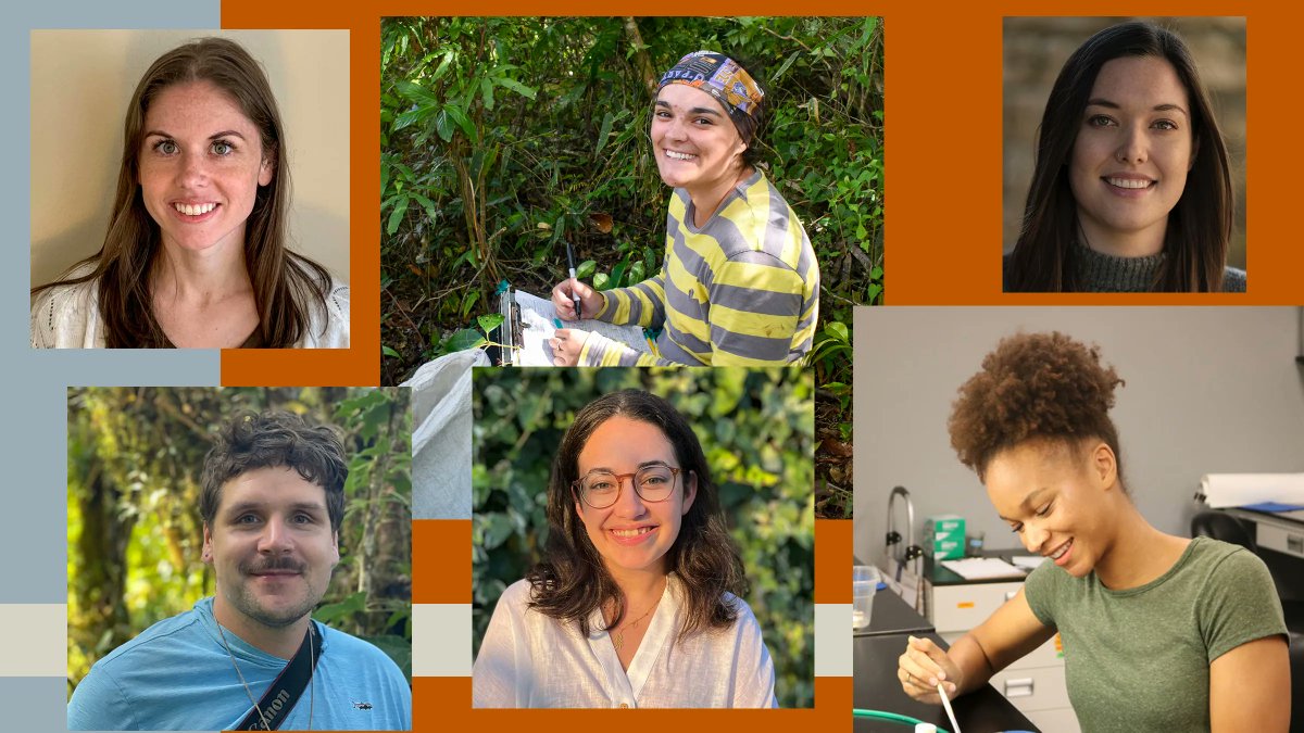 Congrats to the Scholars &amp; Fellows who’ve earned funding from the Stengl-Wyer Endowment for their work examining the diversity of life and/or organisms in their natural environments! 

Read on to see what these talented researchers are studying: biodiversity.utexas.edu/news/features/…