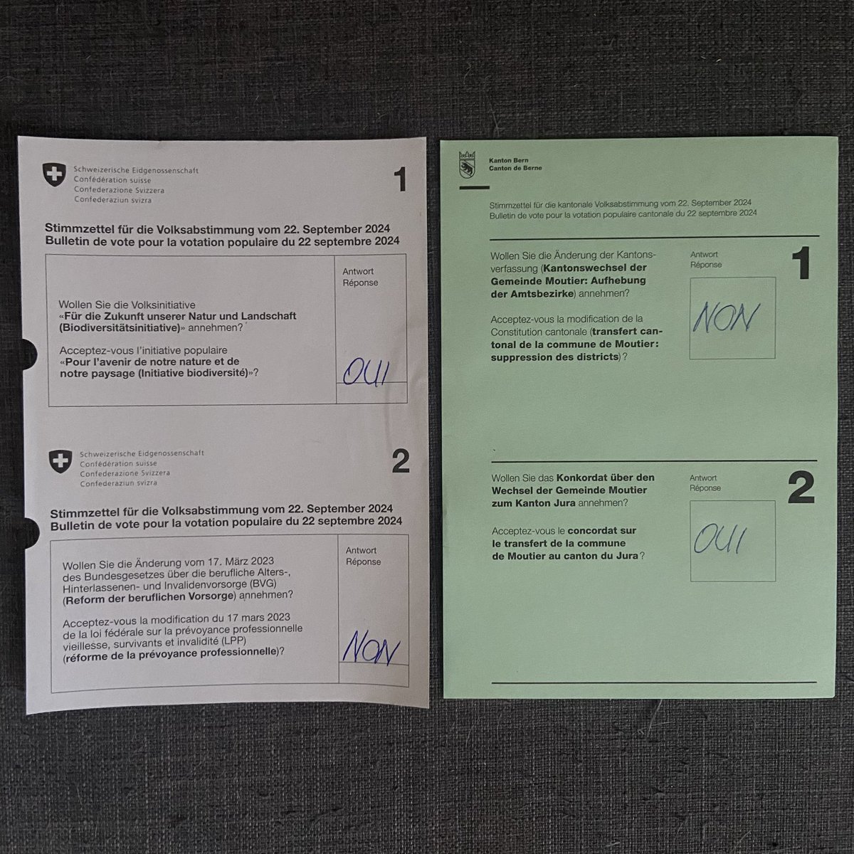 nashtags's tweet photo. A voté ! #CHvote #Abst24 

🇨🇭🗳️
✅ OUI @InitBiodiv 
❌ NON @Arnaque_LPP_non 

🐻🗳️
❌ NON à la suppression des districts et de fait de leurs armoiries (rien n’a été pensé pour leur disparition!)
✅ OUI au transfert de #Moutier au @CantonduJura. #JuraSudJuraLibre https://t.co/8k8aiBVsYQ