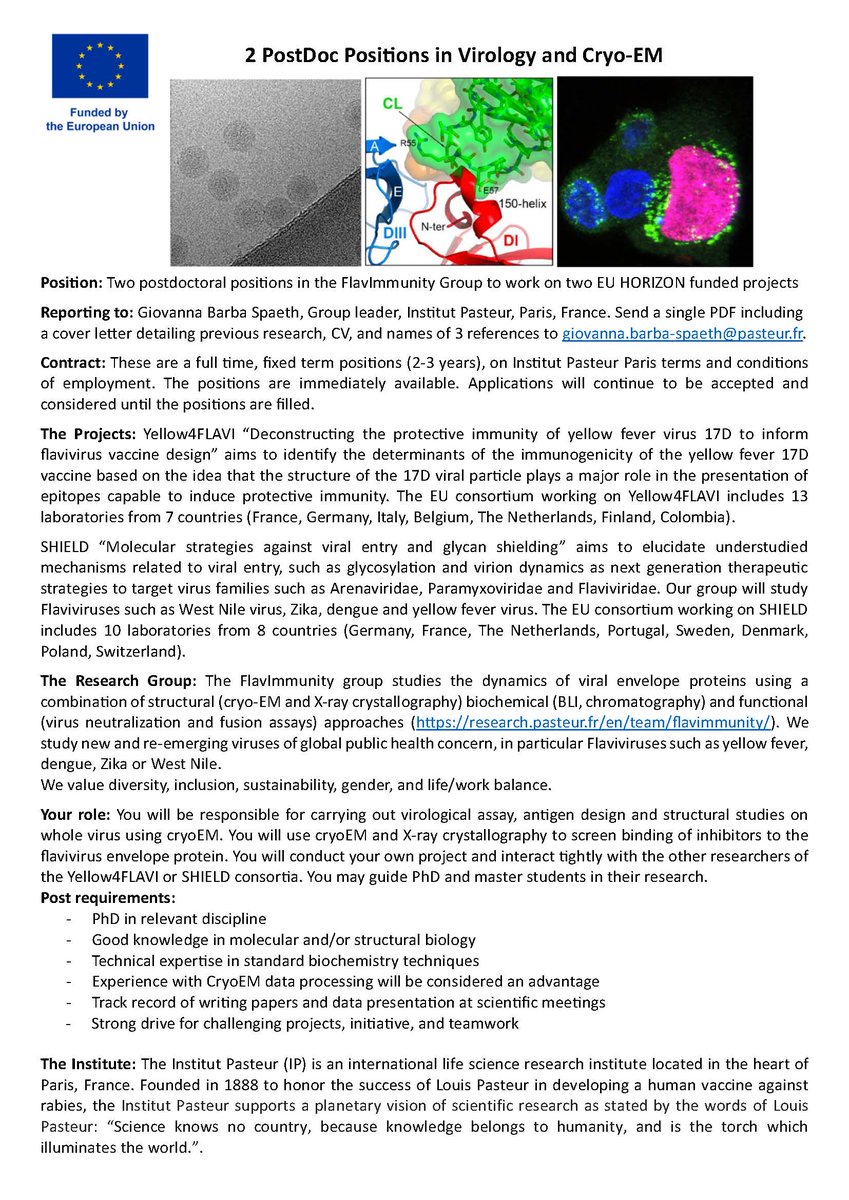 GiovannaBarbaSpaeth|@giobarbaspaeth.bsky.social (@jogio95) on Twitter photo We are looking for 2 junior postdocs to work on our EU projects: yellow4FLAVI (yellow4flavi.eu) and new project SHIELD. You will be based @PasteurVirology
in 🇫🇷 and be part of a dynamic group research.pasteur.fr/en/team/flavim…
#YFV <a href="/PostdocJobs/">PostdocJobs.com</a> #jobopening #JobOpportunity #JobAlert We are looking for 2 junior postdocs to work on our EU projects: yellow4FLAVI (yellow4flavi.eu) and new project SHIELD. You will be based @PasteurVirology
in 🇫🇷 and be part of a dynamic group research.pasteur.fr/en/team/flavim…
#YFV <a href="/PostdocJobs/">PostdocJobs.com</a> #jobopening #JobOpportunity #JobAlert