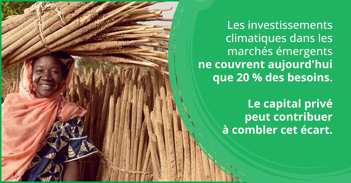 BM_Afrique's tweet photo. #Climat | Les Principes applicables aux obligations vertes ont permis de mobiliser près de 1 000 milliards $ pour des projets verts. Des normes internationales solides peuvent booster les investissements durables. 🌱 

🔎 https://t.co/K0HolsNfHP https://t.co/xzm1k4KCsi