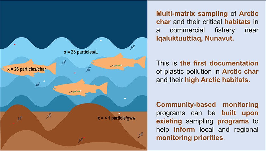 I am delayed in sharing this but better late than never!! Thrilled to share the first of several papers looking at emerging contaminants in Northern fishes from the Kitikmeot! Here, we examined microplastics in Arctic char and their summer feeding habitat. Check it out here 👇