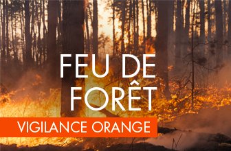Prefet66's tweet photo. #FeuxdeForêt
📢 Demain samedi 31 août le risque feu 🔥 de forêt 🌳 sera elevé sur les #secteur suivants : ☞ #roussillon, #alberes, #aspres compte tenu d'un effet de foehn.
> Dans ce secteur sont interdits ❌ :
➡️ ° la circulation des véhicules 🚗 à moteur sur les pistes non-revêtues,
> ° les travaux à risque susceptibles de provoquer des étincelles.
> Pour protéger notre #département du feu 🔥, respectez ces interdictions ❌ et soyez prudents !