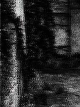 ࿇ 𝙏𝙃𝙍𝙄𝘾𝙀 𝘽𝙊𝙍𝙉 𝙆𝙄𝙉𝙂 tweet media