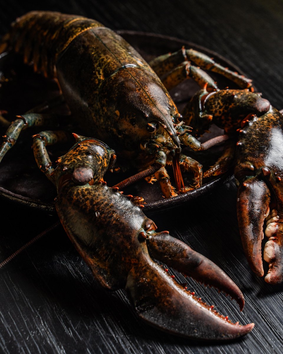 Savour the exquisite taste of the ocean at #BuddhaBarDubai.