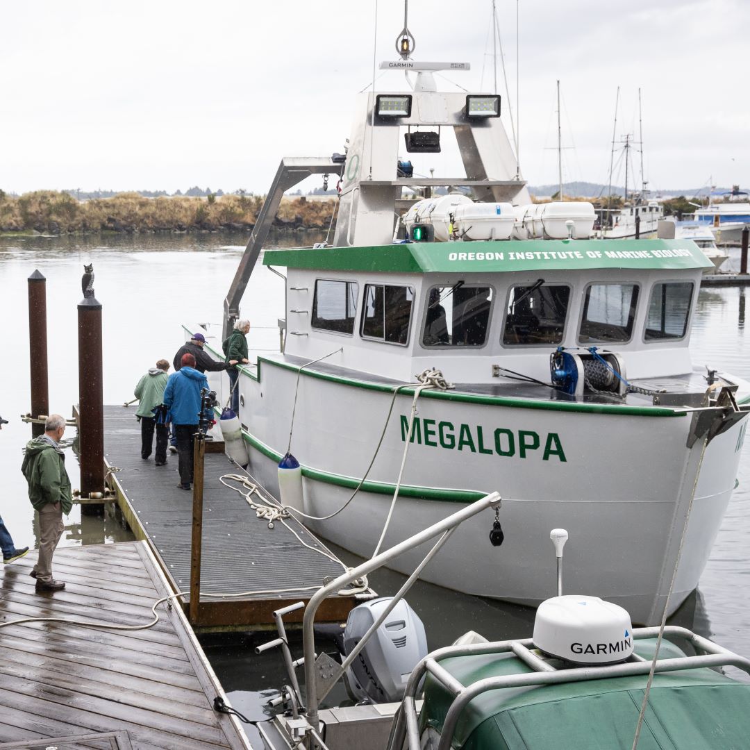 UO Alumni tweet media