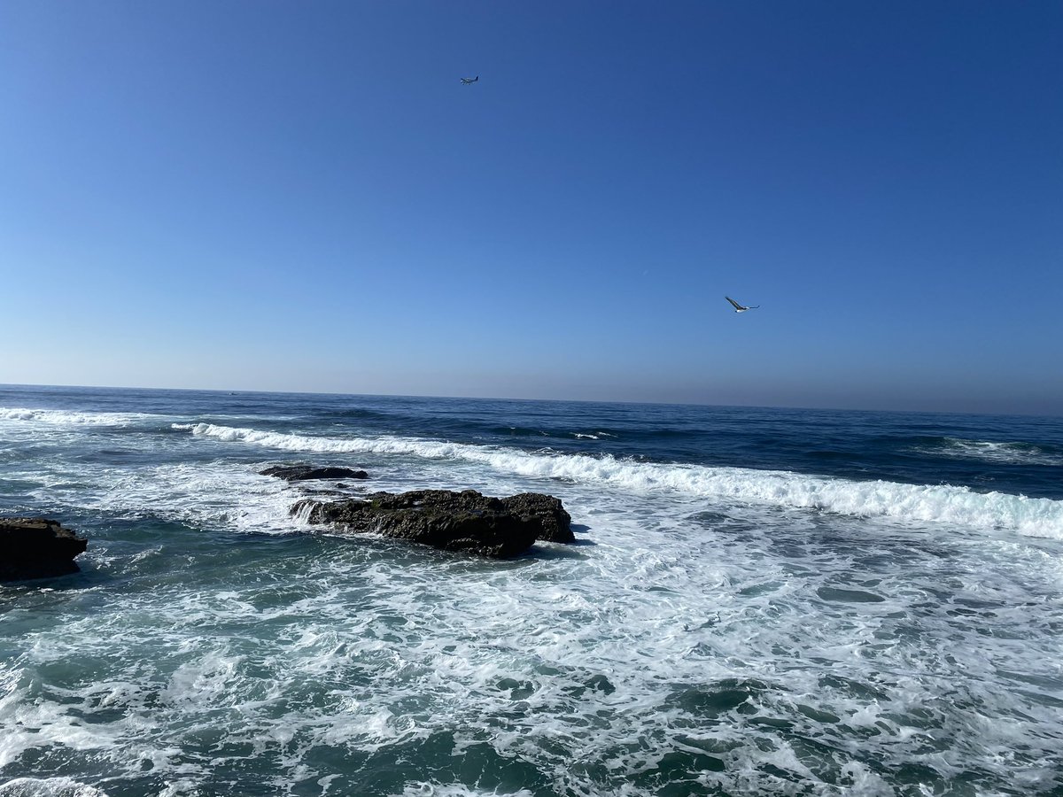 Ashley Sanders tweet media