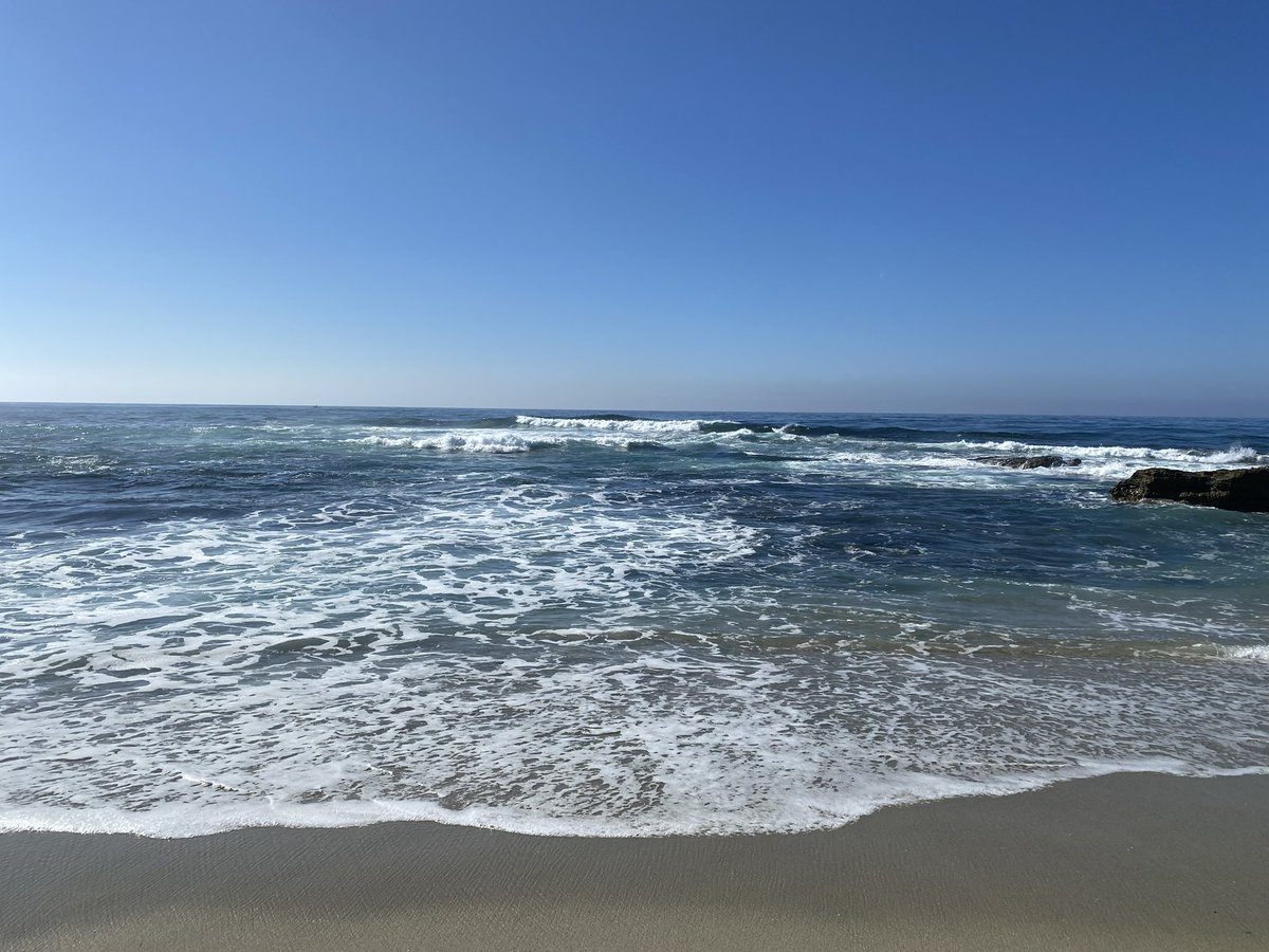 Ashley Sanders tweet media