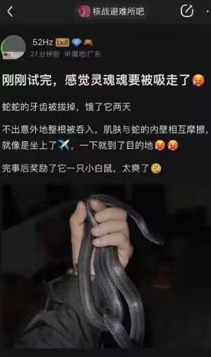 F936N's tweet photo. 🐍 https://t.co/A0W9OjiZsT