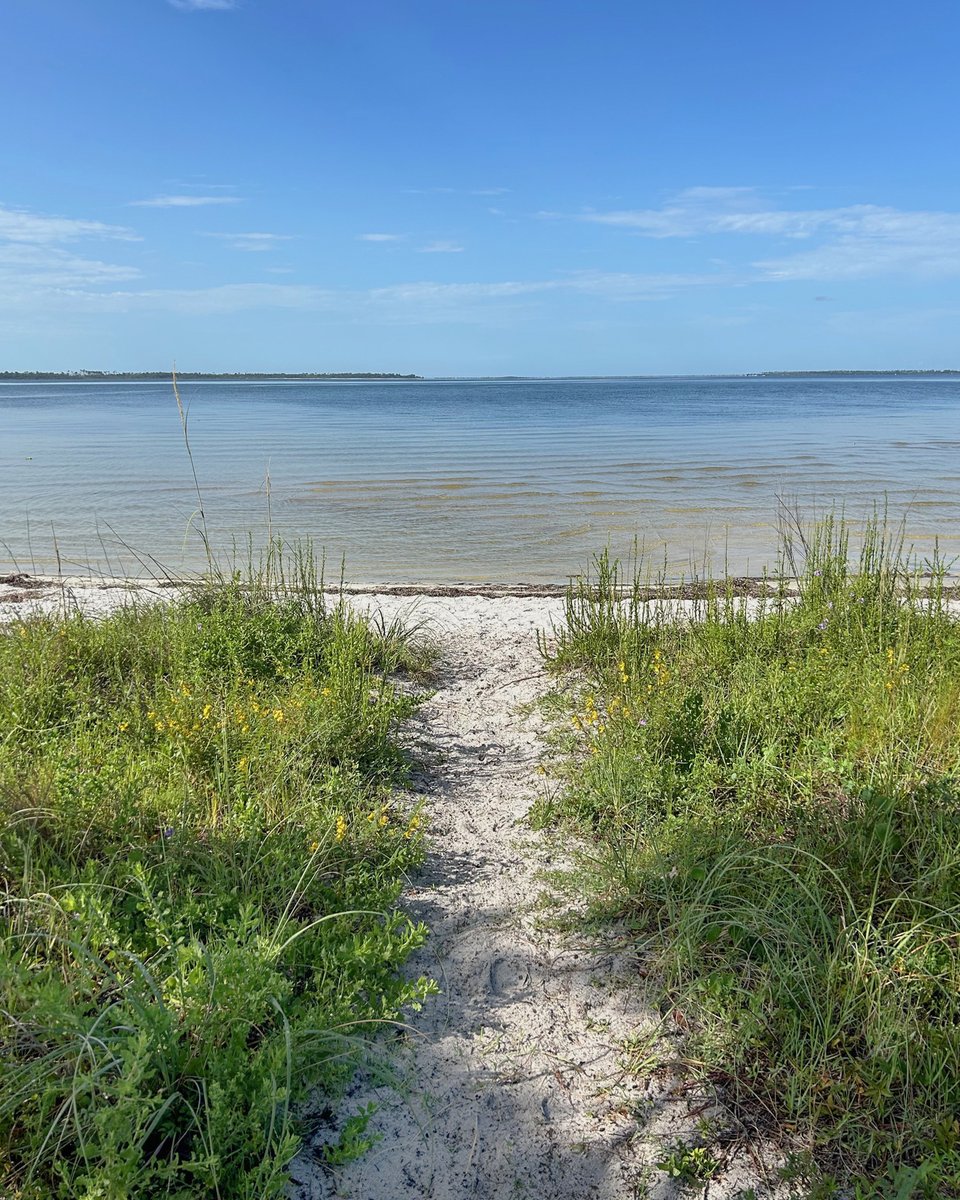 Happy National Beach Day! Whether you're into fishing, boating or just relaxing on the sand, your perfect day is just steps away at a Panama City bayside beach! 🏖️

#LovePC #DestinationPanamaCity