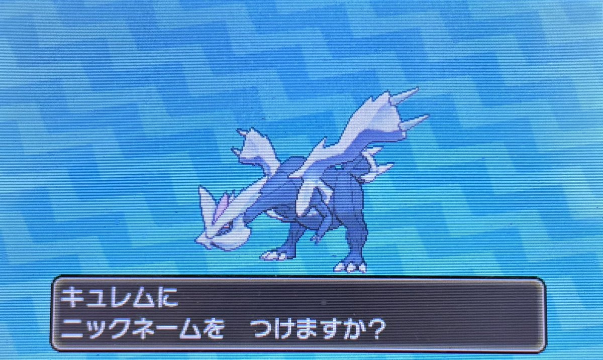 こめっち|NNT tweet media
