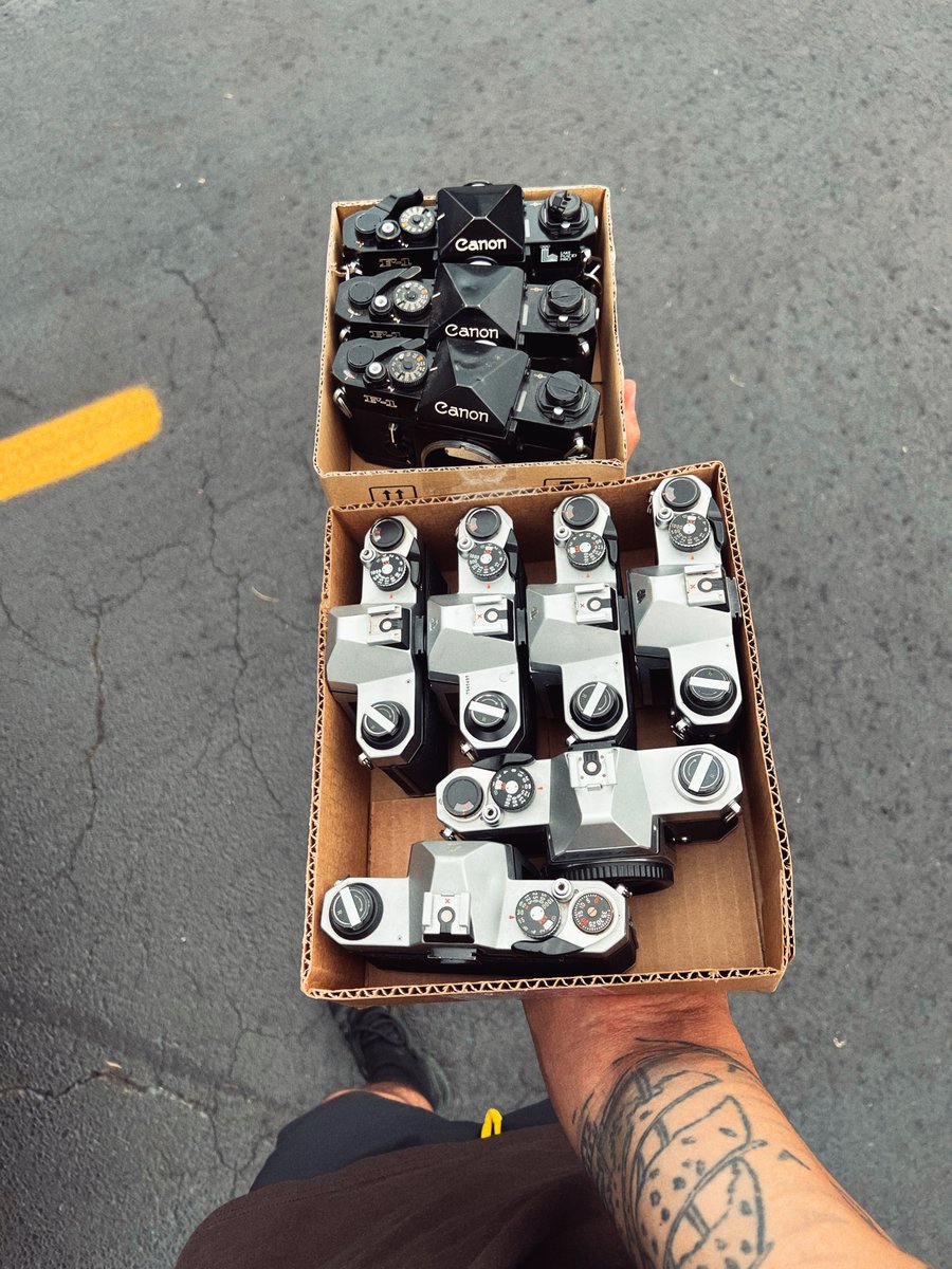 .gio🌿 tweet media