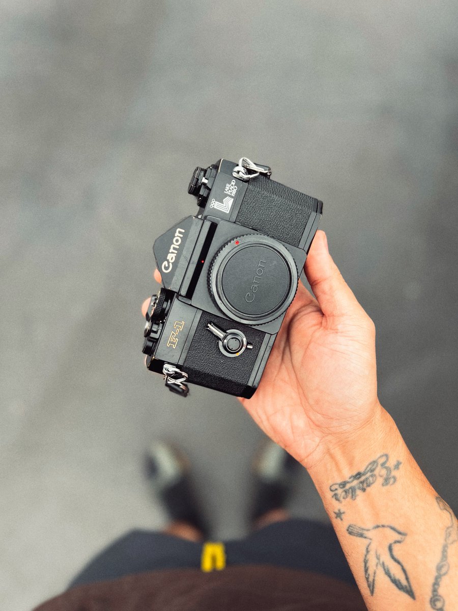 .gio🌿 tweet media