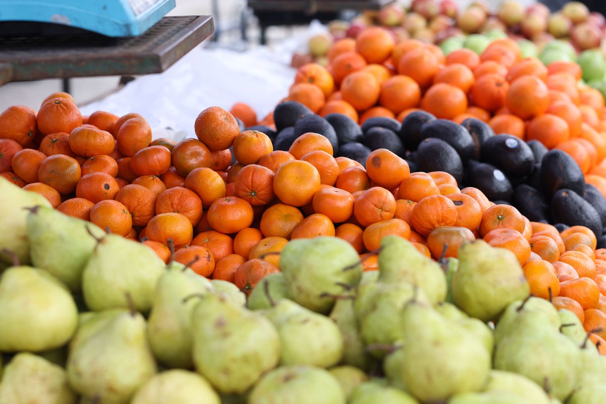 FAO Chile tweet media