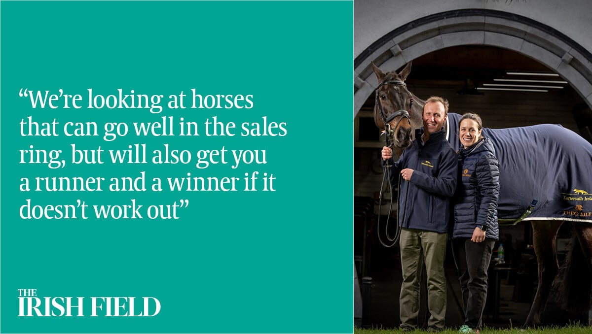 The Irish Field (@theirishfield) on Twitter photo This weekend in The Irish Field, in conversation with Amy Lynam, Caoimhe Doherty discusses recent success for Forenaghts Stud, her pride in Treo Eile's work and her frustrations with thoroughbred aftercare
<a href="/A_Lynam/">Amy Lynam</a> <a href="/CuivsDoherty/">Caoimhe Doherty</a> <a href="/TreoEileRIR/">TREO EILE, Retraining Ireland's Racehorses</a> This weekend in The Irish Field, in conversation with Amy Lynam, Caoimhe Doherty discusses recent success for Forenaghts Stud, her pride in Treo Eile's work and her frustrations with thoroughbred aftercare
<a href="/A_Lynam/">Amy Lynam</a> <a href="/CuivsDoherty/">Caoimhe Doherty</a> <a href="/TreoEileRIR/">TREO EILE, Retraining Ireland's Racehorses</a>