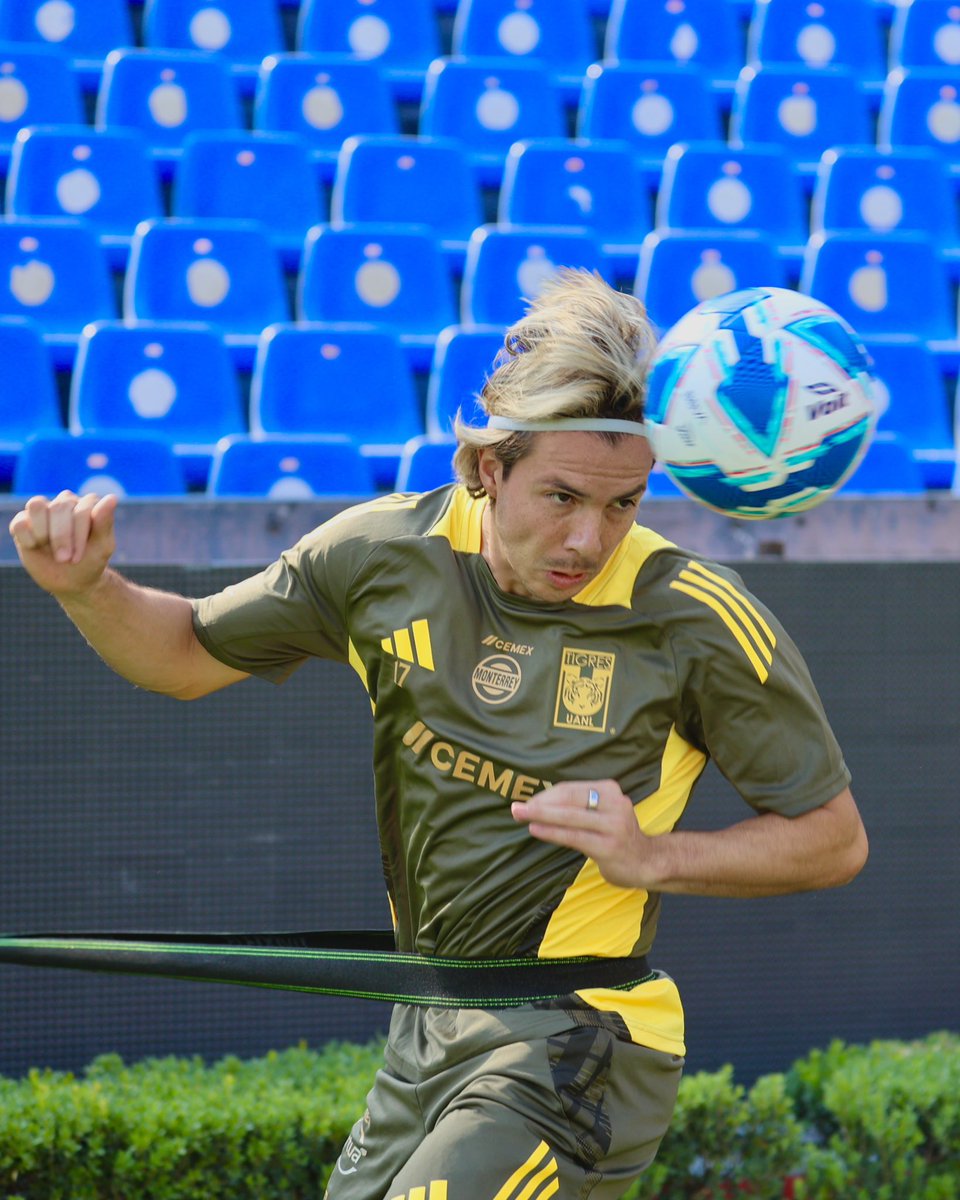 Club Tigres 🐯 tweet media