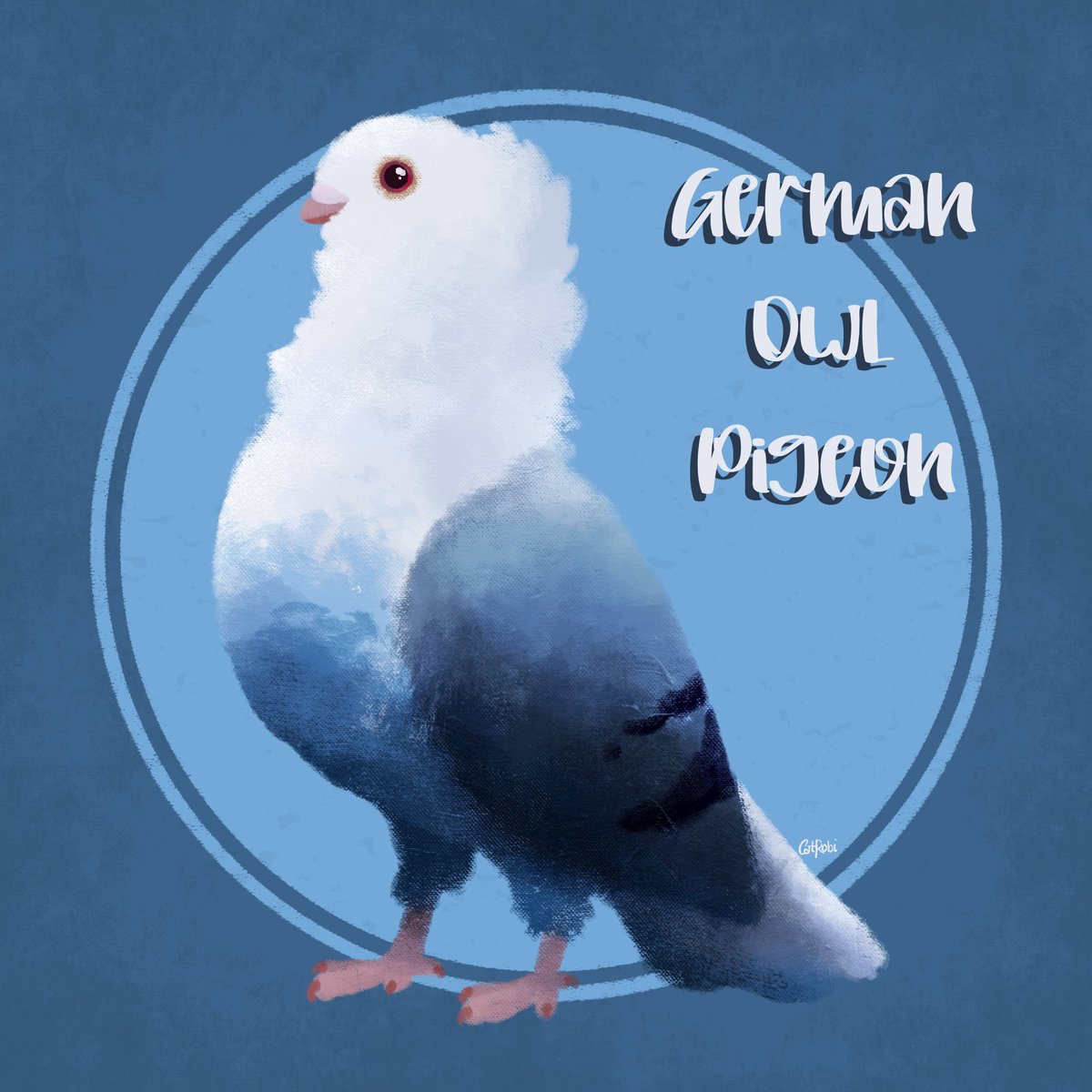 CatRobi2's tweet image. #AvianAugust2024 💙