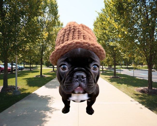 2LEGSonSol's tweet image. gary is a homo. buy $2LEGS to affirm