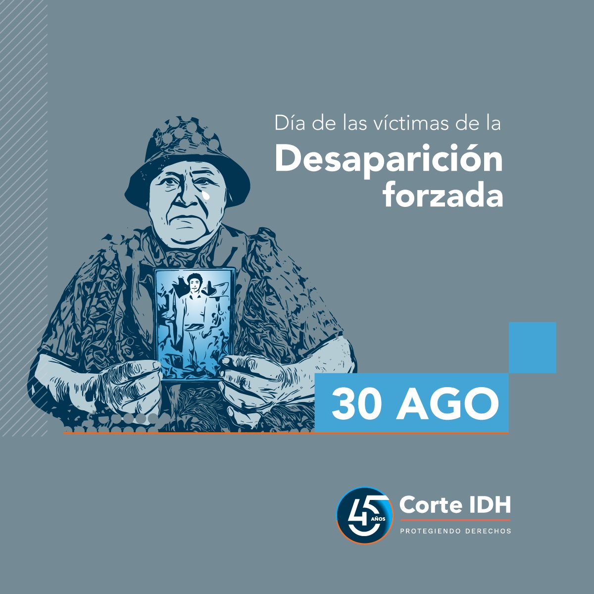 🌍 En el Día Internacional de las Víctimas de la Desaparición Forzada, destacamos nuestro Cuadernillo de Jurisprudencia sobre Desaparición Forzada 📚. 
Te invitamos a analizar los casos que la Corte Interamericana ha abordado sobre este tema.
🔍 Descarga el Cuadernillo aquí: