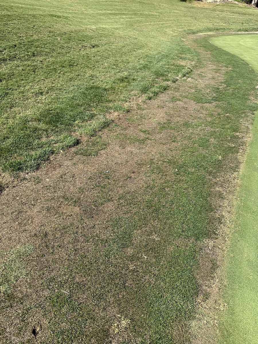 SlowTheGame's tweet image. Yikes @arcisgolf 

#slowthegame